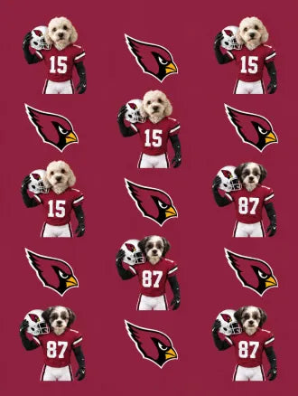 Custom Football Pet Blanket with Team Logo