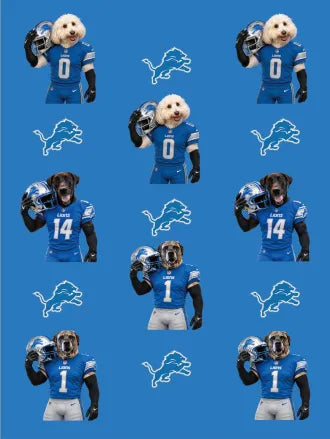 Custom Football Pet Blanket with Team Logo