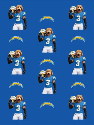 Custom Football Pet Blanket with Team Logo