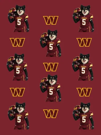 Custom Football Pet Blanket with Team Logo