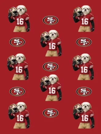 Custom Football Pet Blanket with Team Logo