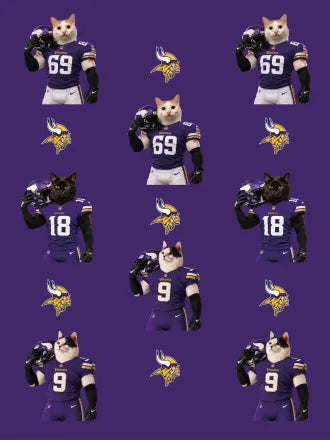 Custom Football Pet Blanket with Team Logo