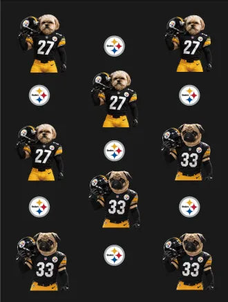 Custom Football Pet Blanket with Team Logo