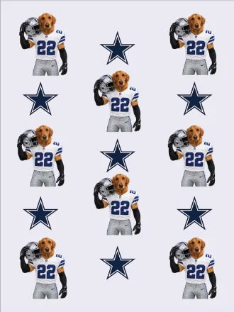 Custom Football Pet Blanket with Team Logo