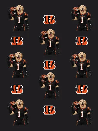 Custom Football Pet Blanket with Team Logo