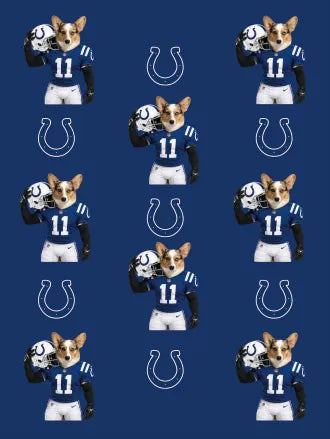 Custom Football Pet Blanket with Team Logo