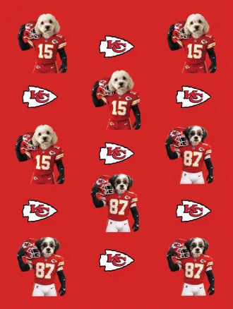 Custom Football Pet Blanket with Team Logo