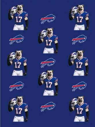 Custom Football Pet Blanket with Team Logo