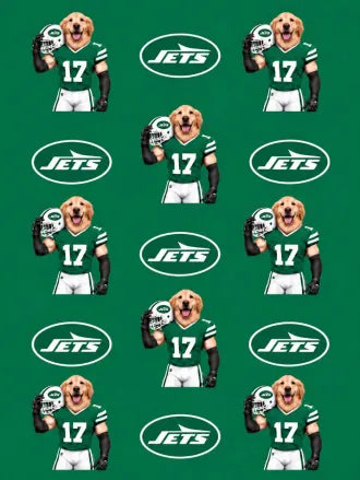 Custom Football Pet Blanket with Team Logo
