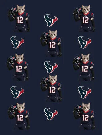 Custom Football Pet Blanket with Team Logo