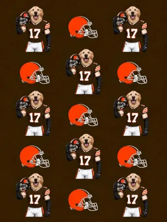 Custom Football Pet Blanket with Team Logo