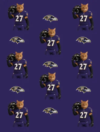Custom Football Pet Blanket with Team Logo