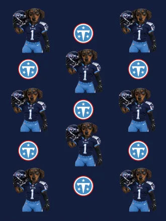 Custom Football Pet Blanket with Team Logo