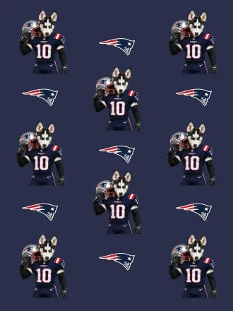 Custom Football Pet Blanket with Team Logo