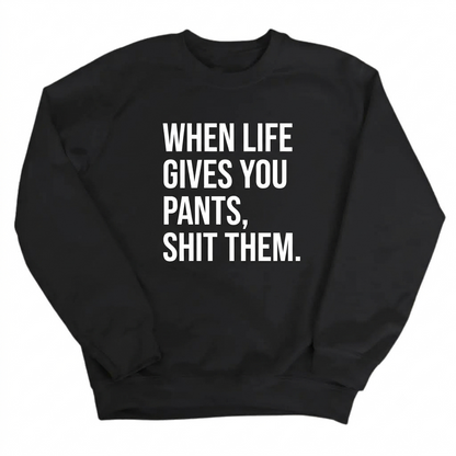 When Life Gives You Pants, Shit Them Shirt