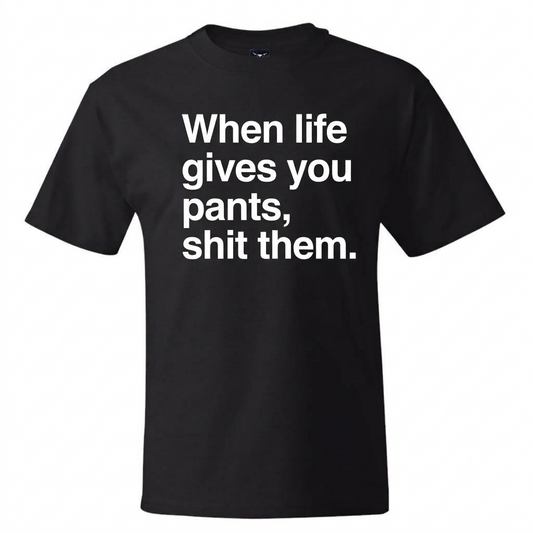 When Life Gives You Pants, Shit Them Shirt