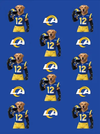 Custom Football Pet Blanket with Team Logo