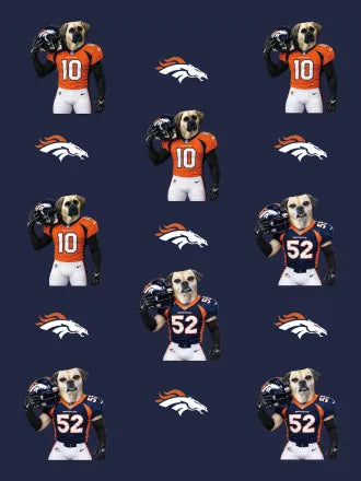 Custom Football Pet Blanket with Team Logo