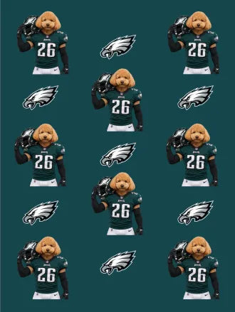 Custom Football Pet Blanket with Team Logo
