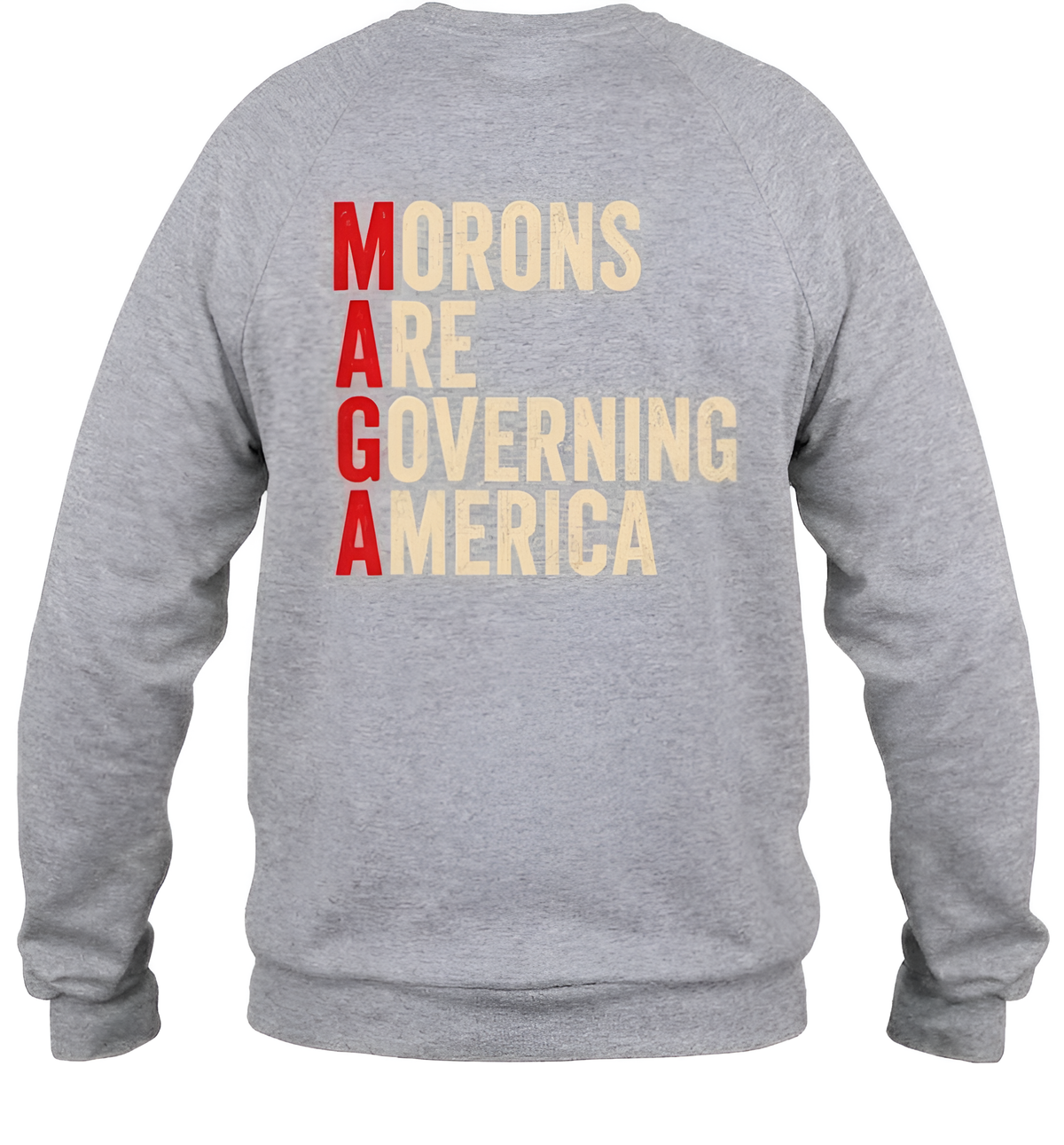 Morons Are Governing America Shirt
