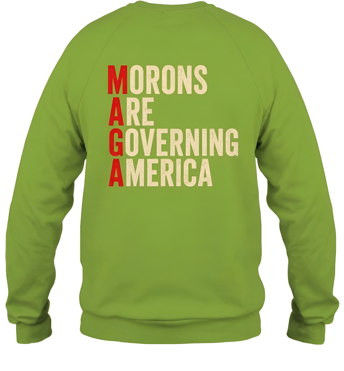 Morons Are Governing America Shirt