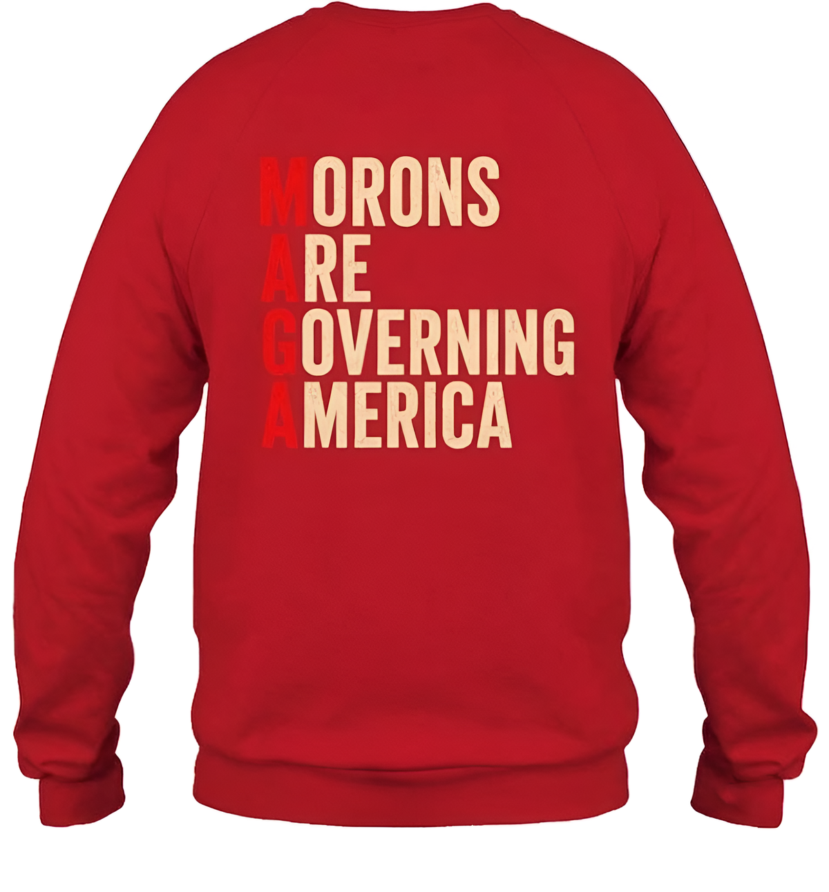 Morons Are Governing America Shirt