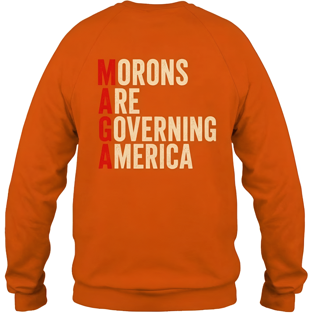 Morons Are Governing America Shirt