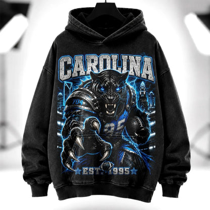 Vintage Carolina Football Washed Tee