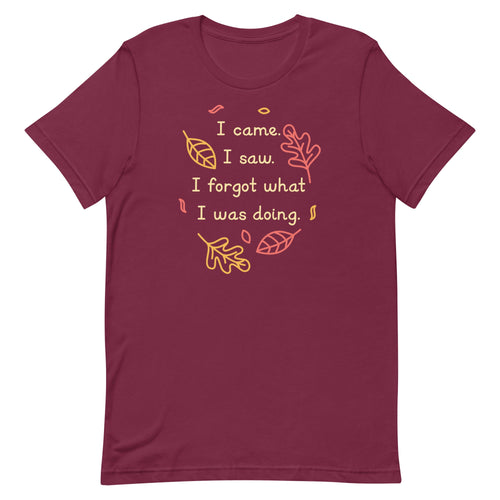 I Came. I Saw. I Forgot What I Was Doing. Men's Signature Tee Unisex T-shirt, Sweatshirt, Hoodie, Long Sleeve Tee apparel design preview 1