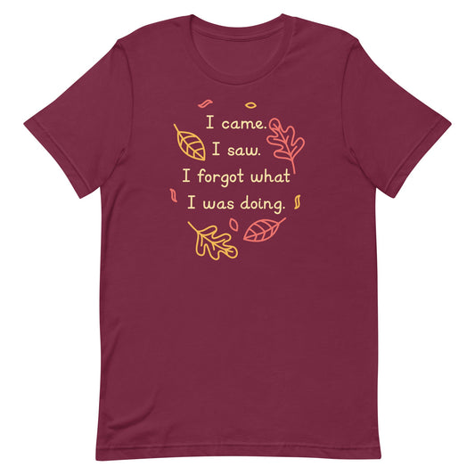 I Came. I Saw. I Forgot What I Was Doing. Men's Signature Tee Unisex T-shirt, Sweatshirt, Hoodie, Long Sleeve Tee apparel design preview 1